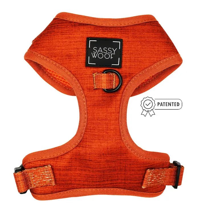 Adjustable Dog Harness for Fall Season - Comfortable & Secure Pet Vest for Small to Medium Dogs - Perfect for Autumn Walks, Hiking, and Outdoor Adventures