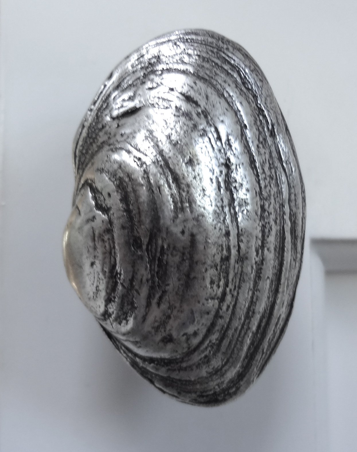 Antique Silver Clam Shell Cabinet Knob - 1 Piece - Vintage Style Drawer Pull for Kitchen, Bathroom & Furniture Hardware