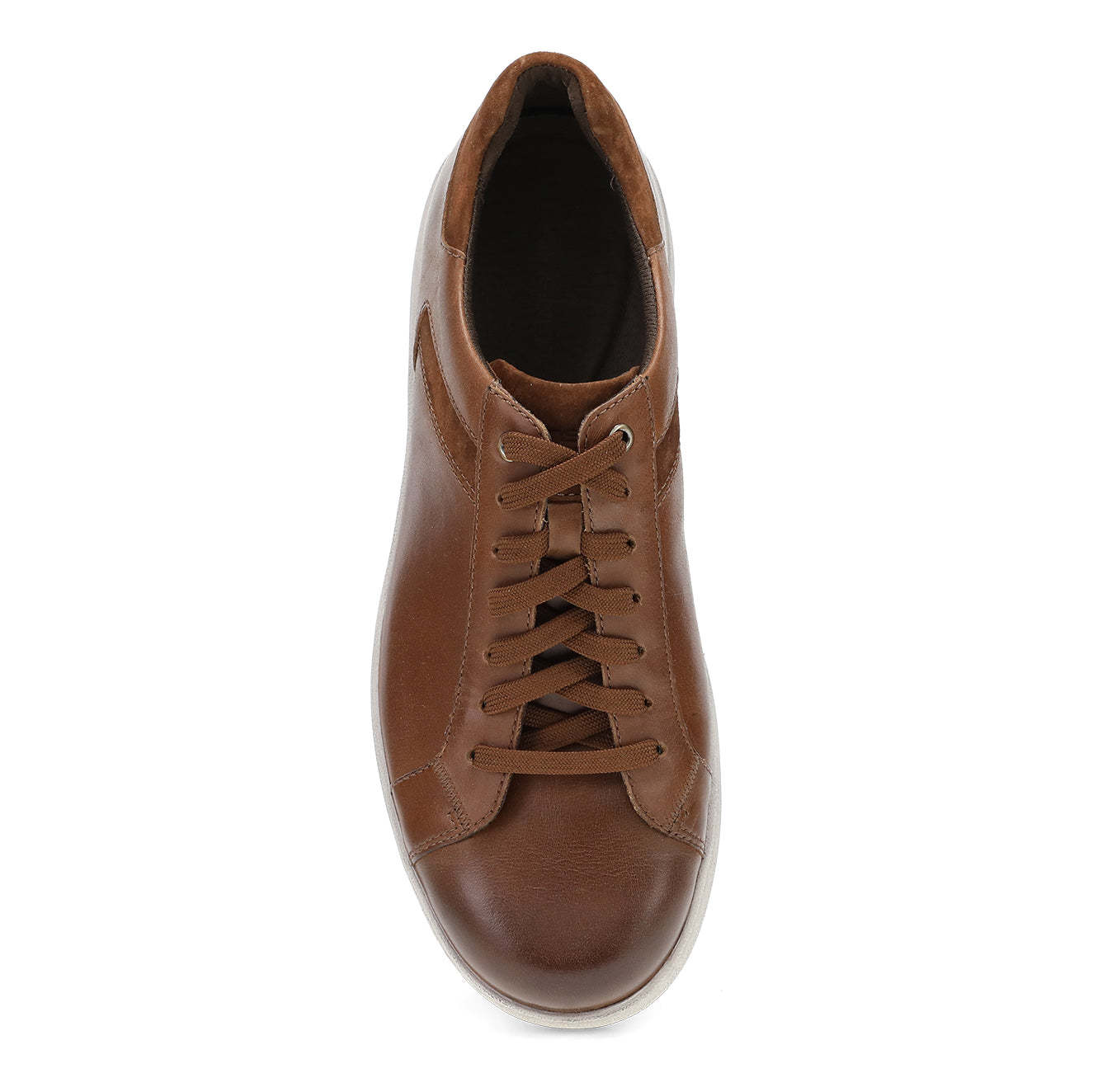 Trevor - Premium Quality for Everyday Use | Perfect for Home, Office & Travel | Shop Now on US Cross-Border E-commerce