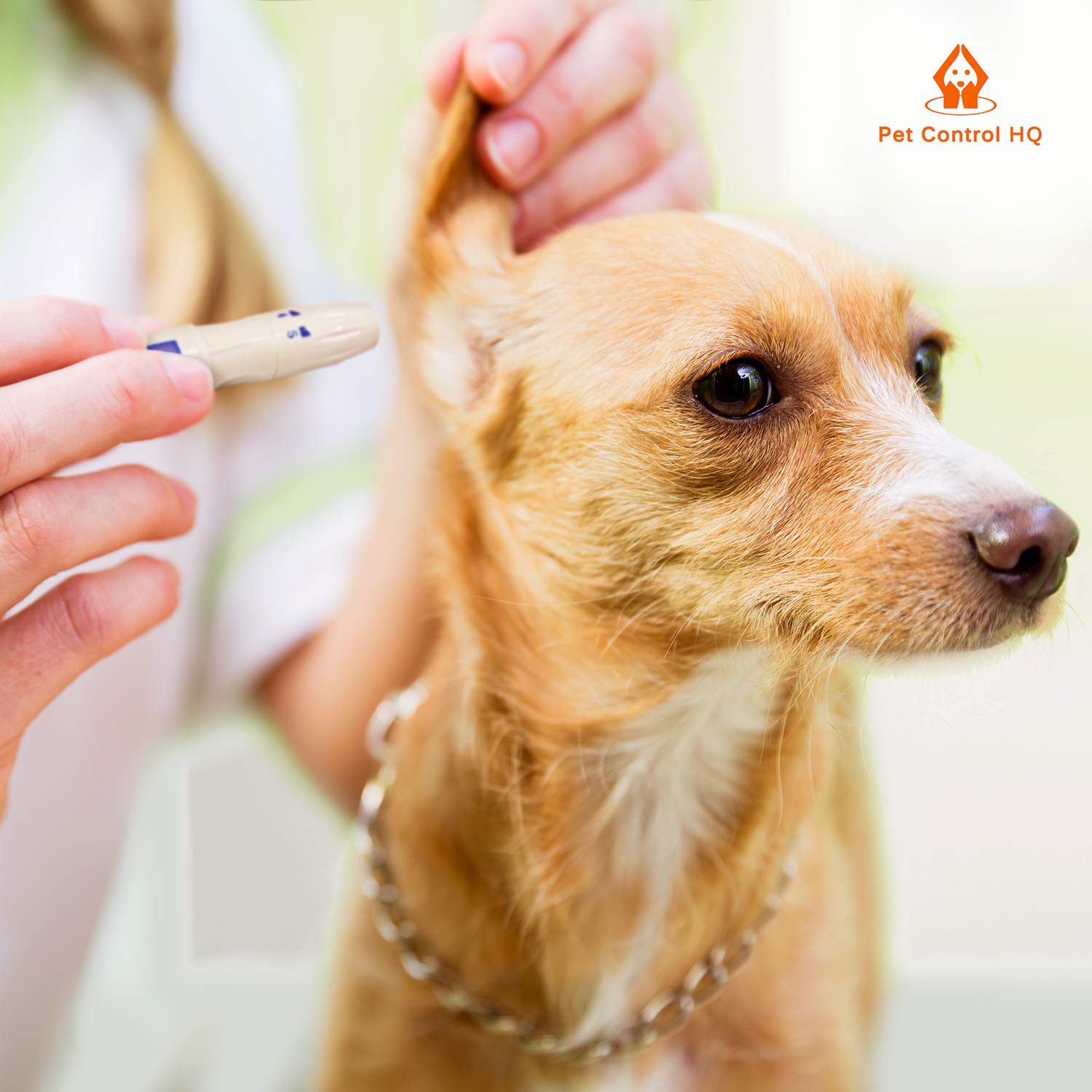 Pet Blood Glucose Monitor Kit for Dogs & Cats - Includes 50 Test Strips | At-Home Diabetes Testing for Pets | Vet-Recommended Glucose Meter for Pet Health Monitoring