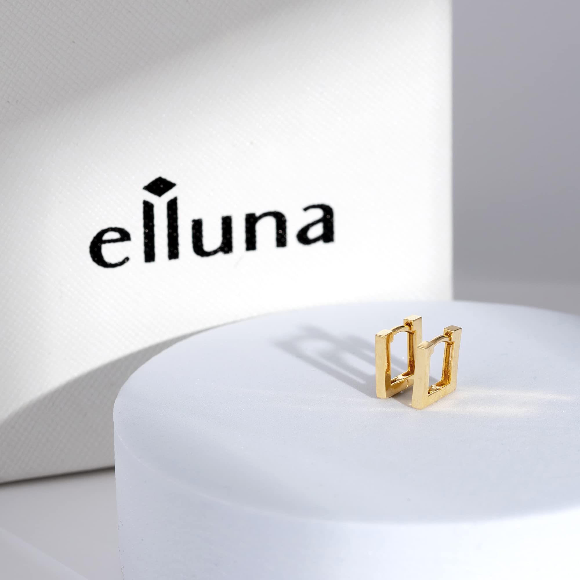 Elluna Hoop Earrings for Women - 14K Gold Plated Stainless Steel Circle Earrings | Hypoallergenic & Tarnish Resistant | Perfect for Everyday Wear, Parties & Gifts