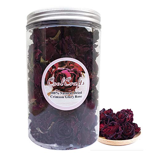 Crimson Glory Rose