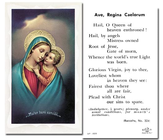 Our Lady of Good Counsel Catholic Prayer Cards - Pack of 100 with Prayer on Back - Perfect for Religious Devotion, First Communion, Confirmation & Bible Study