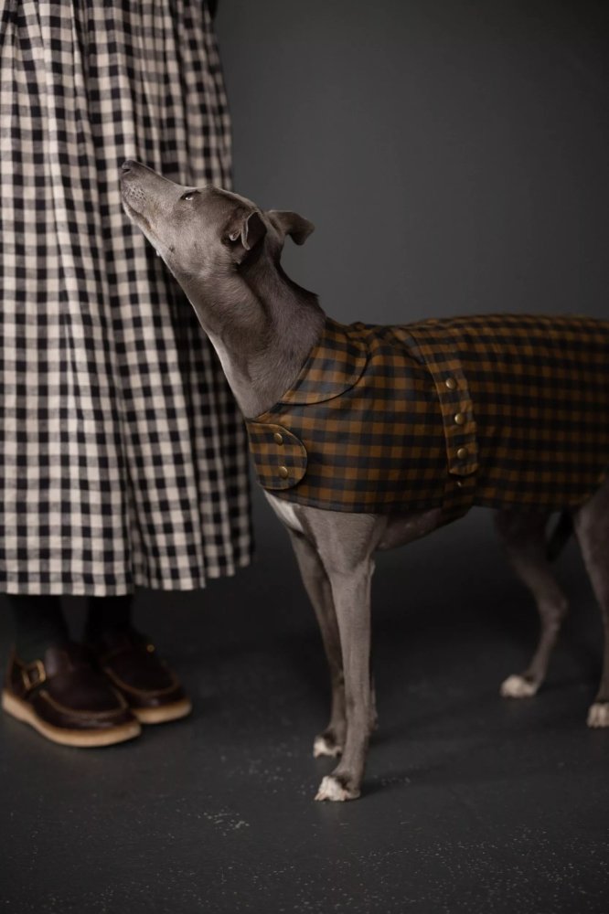 Stylish Barka Dog Coat - Waterproof & Warm Winter Jacket for Small to Large Dogs - Perfect for Outdoor Walks & Cold Weather Adventures