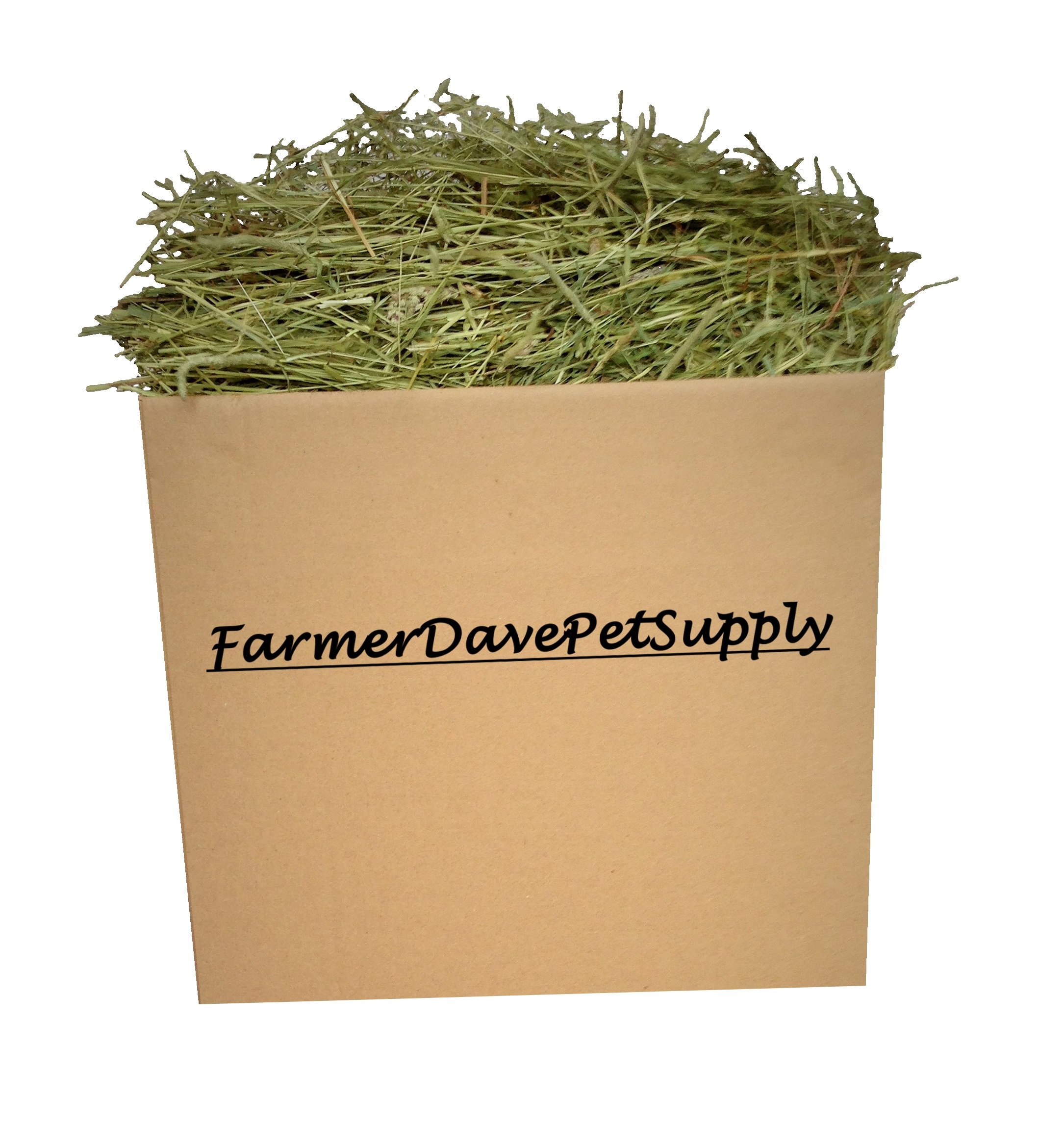 Premium 15 Lb First Cut Timothy Hay for Rabbits & Small Pets - High Fiber Natural Food for Guinea Pigs, Chinchillas & Herbivores - Perfect for Daily Feeding & Cage Bedding