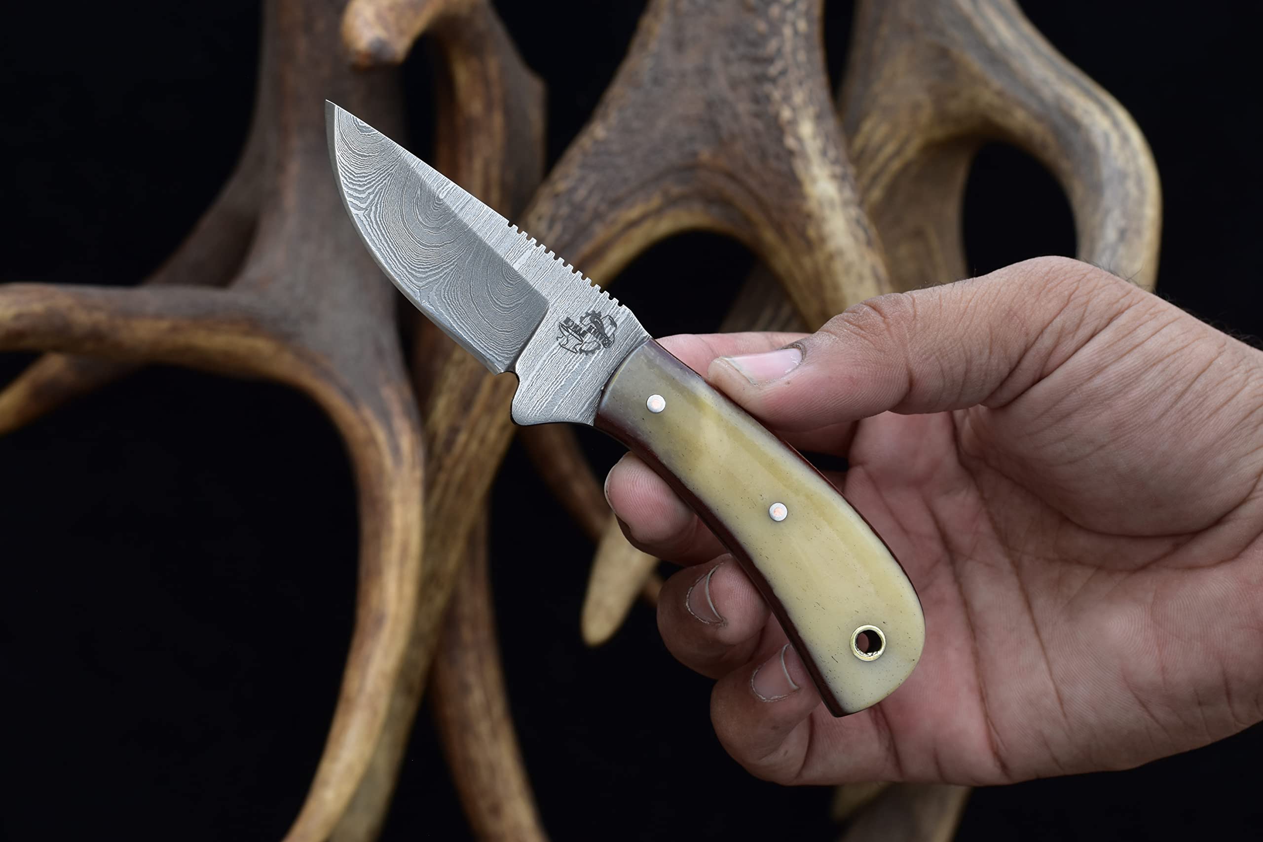Ranch Fixed Blade EDC Skinning Knife with Cattle Bone Handle - Heavy Duty Horizontal Carry Sheath (2006-B) - Perfect for Hunting, Camping & Outdoor Survival