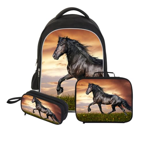 Horse13