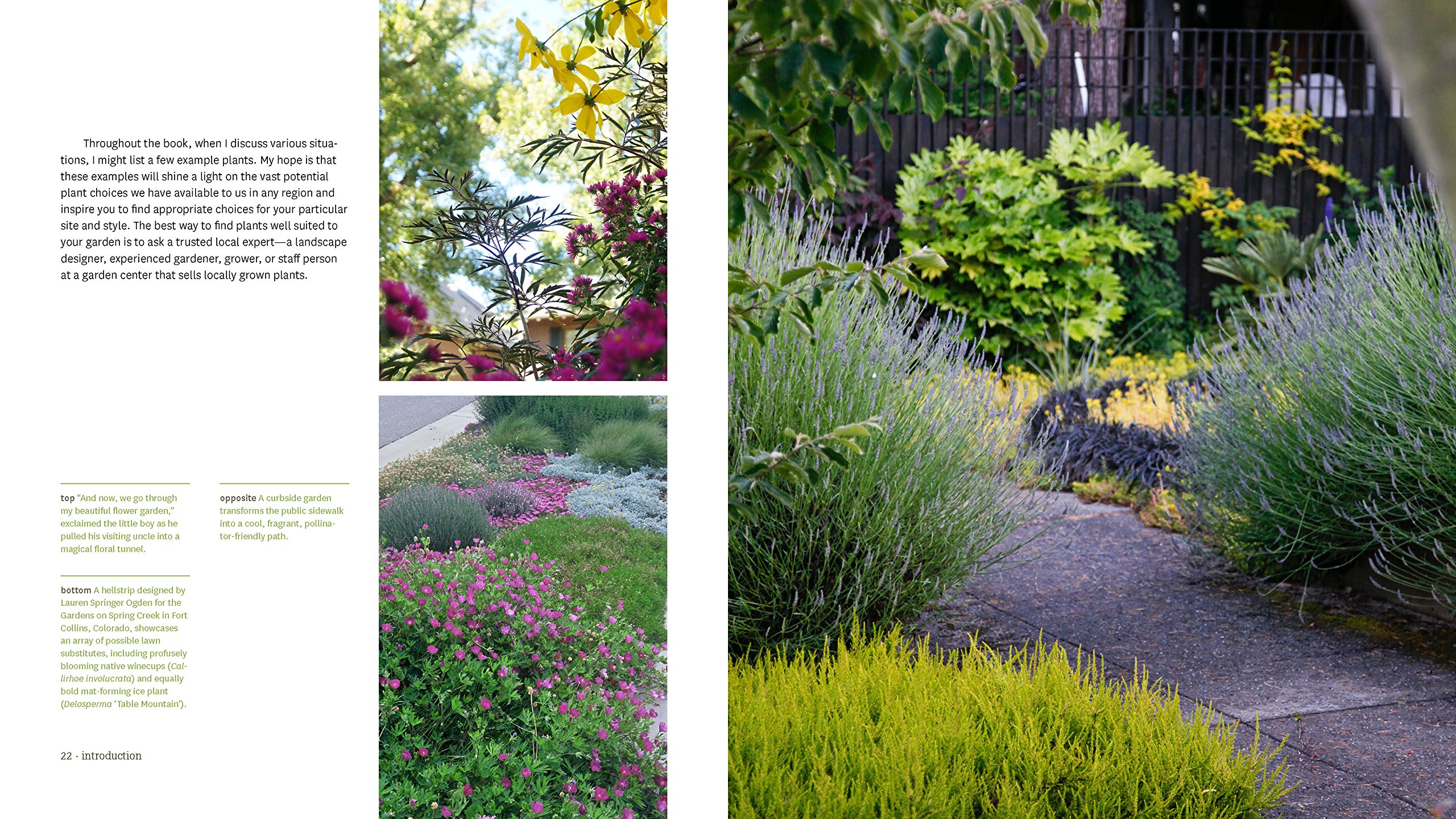 Hellstrip Gardening Guide: Create a Beautiful Paradise Between Sidewalk and Curb | Drought-Tolerant Landscaping Ideas for Urban Spaces