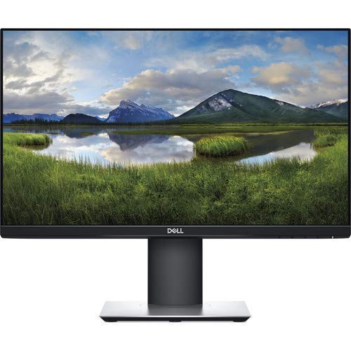 Dell 22
