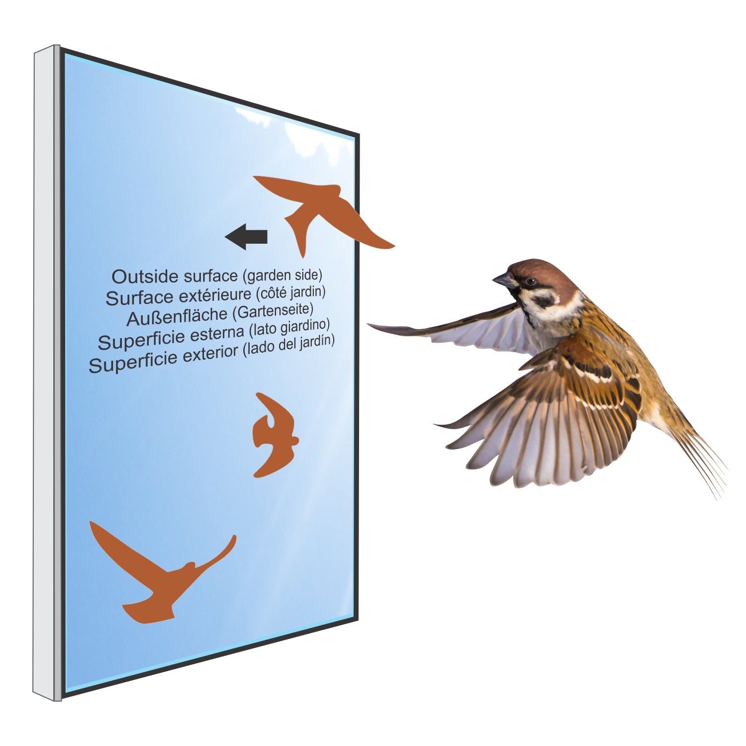 Anti-Collision Window Decals for Birds - 17 Pack Nut Brown Bird Strike Prevention Stickers - UV Resistant Window Clings to Protect Birds from Glass Collisions (Perfect for Homes, Offices & Schools)