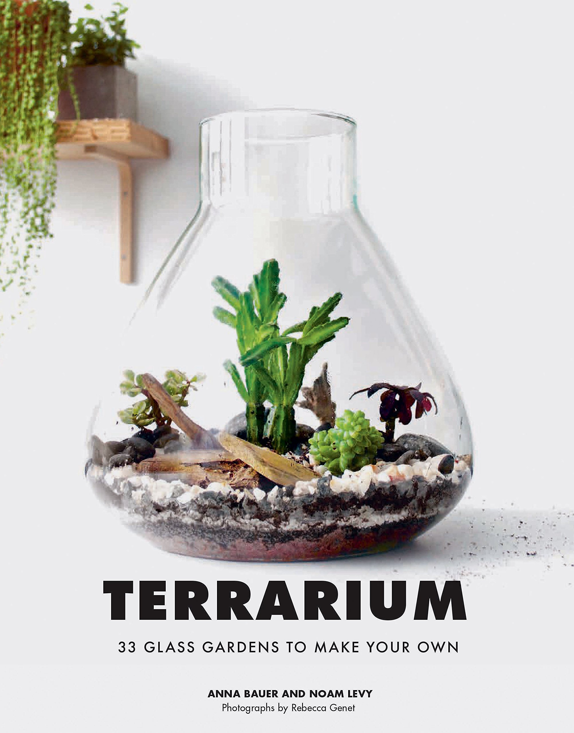 33 DIY Glass Terrarium Kits for Indoor Plants - Create Your Own Miniature Garden for Home Decor, Office Desk, or Gift Ideas