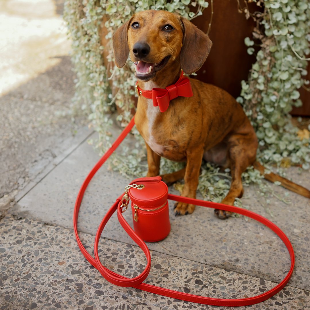 Stylish Red Leather Dog Bow Tie for Small Medium Large Dogs - Perfect for Weddings, Parties & Photo Shoots