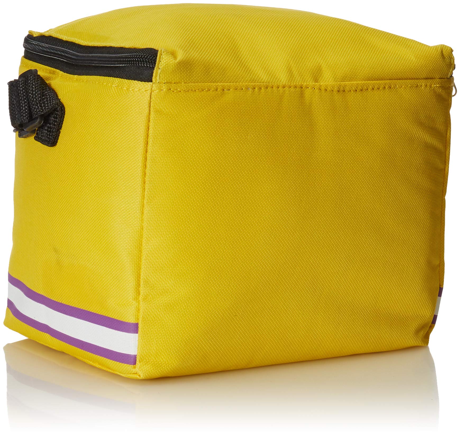 FOCO NCAA 6-Pack Insulated Cooler Bag - Portable Beer & Beverage Cooler for Tailgating, Picnics, Beach & Camping - Officially Licensed College Team Design