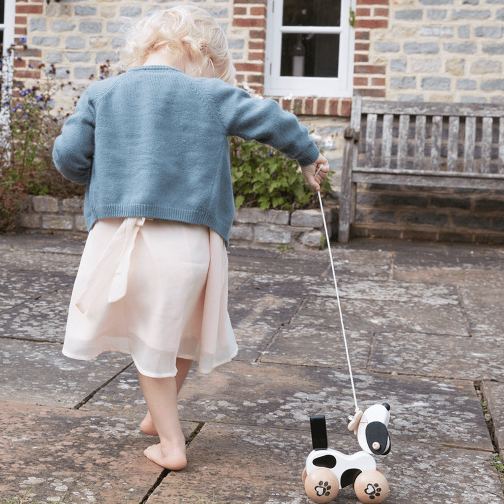 Pull Along Dog Toy - Interactive Pet Play for Dogs - Fun Tug & Fetch Toy for Indoor & Outdoor Use