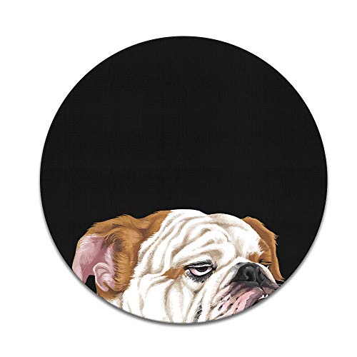 Aloof Bulldog