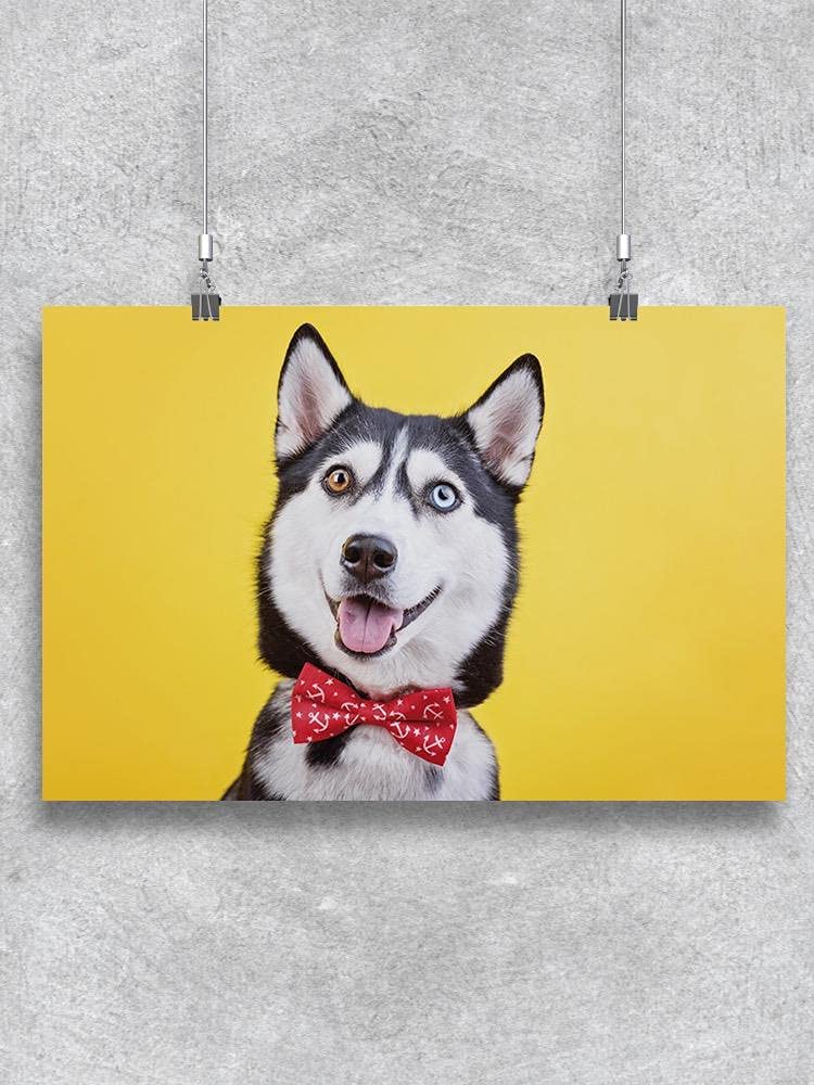 Cute Husky Dog with Ribbon Poster - Perfect for Home Decor, Gifts, and Pet Lovers