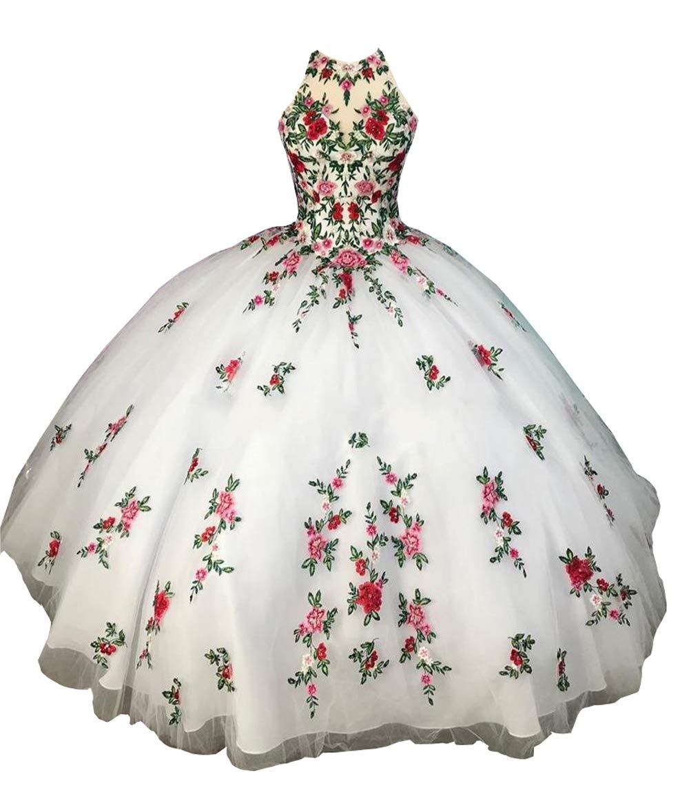 Elegant Velvet Organza Embroidery Quinceañera Dress for Women | Ball Gown Prom Sweet 16 Dress 2021 | Perfect for Quinceañeras, Prom Nights & Formal Events