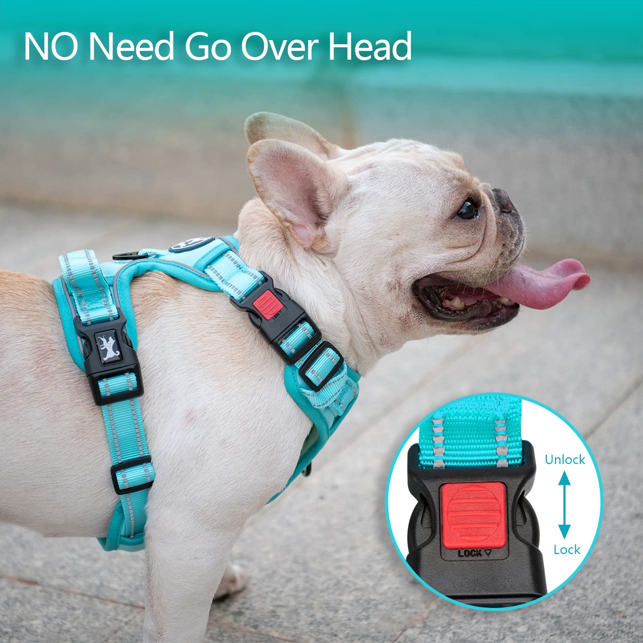 PoyPet No Pull Dog Harness - Reflective Adjustable Pet Vest with Padded Handle for Small Medium Large Dogs - Mint Blue with Matching Trim (Size L) | Perfect for Walking, Training & Nighttime Safety