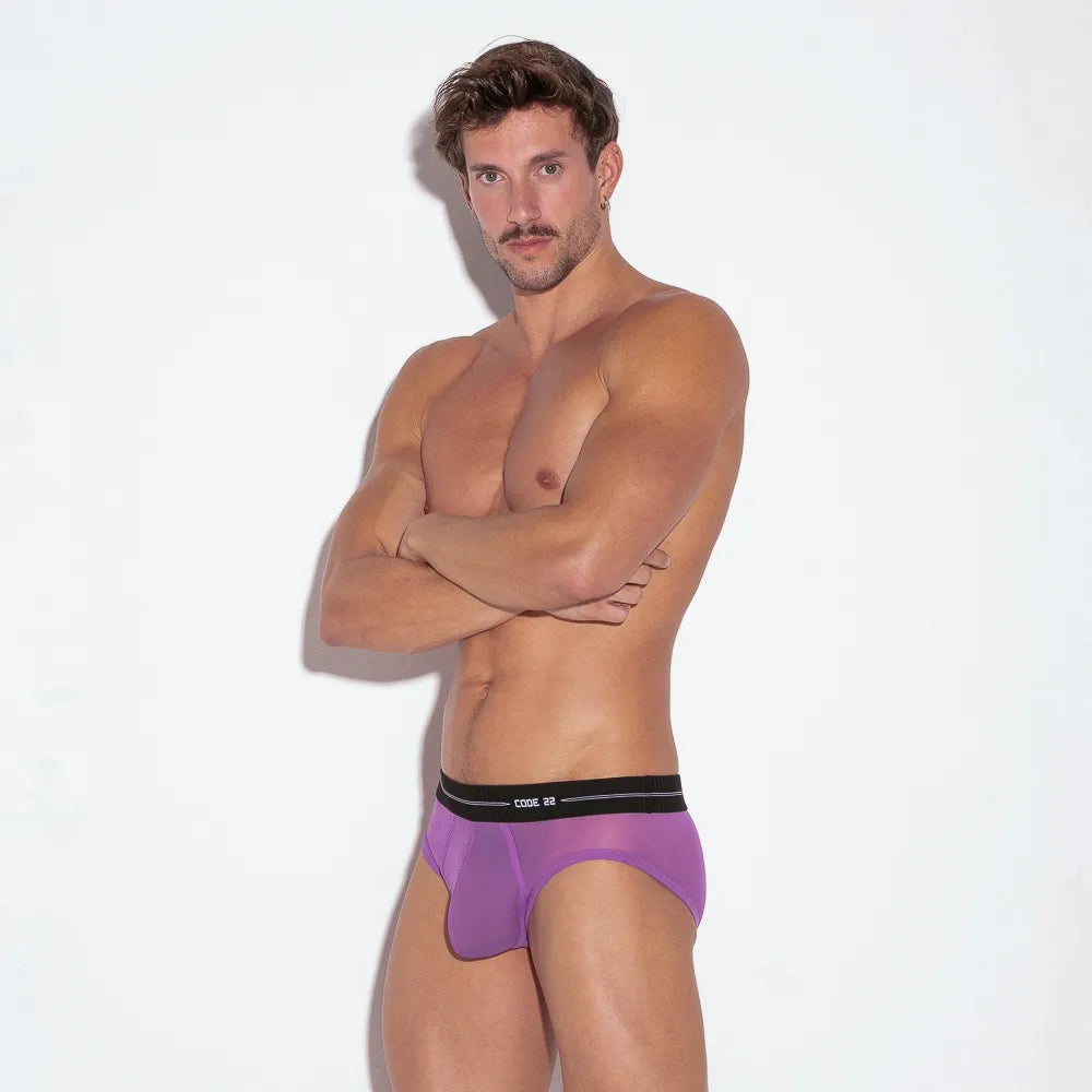 Code 22 Sheer Mesh Brief Underwear - Comfortable Women's Lingerie in Grape Color for Daily Wear & Special Occasions
