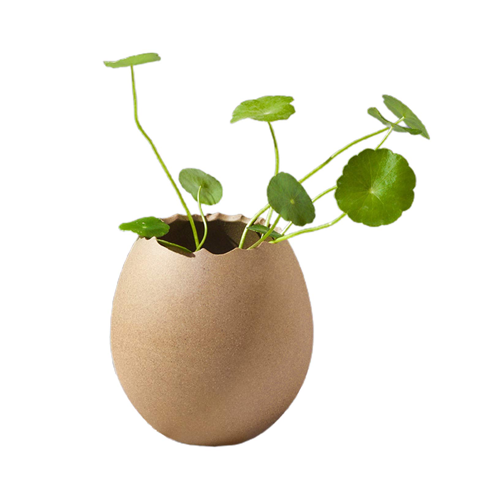 Eggshell White Ceramic Vase - Modern Hydroponic Planter for Flowers | Minimalist Home & Office Decor | Perfect for Living Room, Bedroom, or Workspace (Plants Not Included)