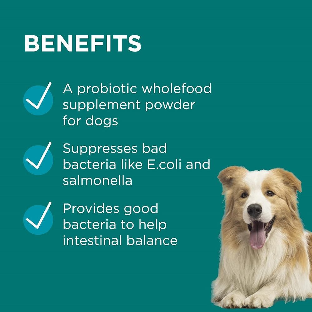 Premium Digestive Health Supplement for Dogs & Cats - Supports Gut Health & Digestion - Ideal for Sensitive Stomachs, Diarrhea Relief & Nutrient Absorption