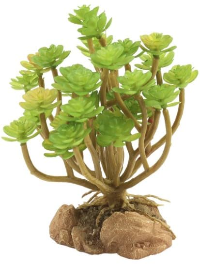 Zoo Med Tree Houseleek Desert Flora Terrarium Plant - Realistic Succulent for Reptile Habitats & Arid Landscape Decor