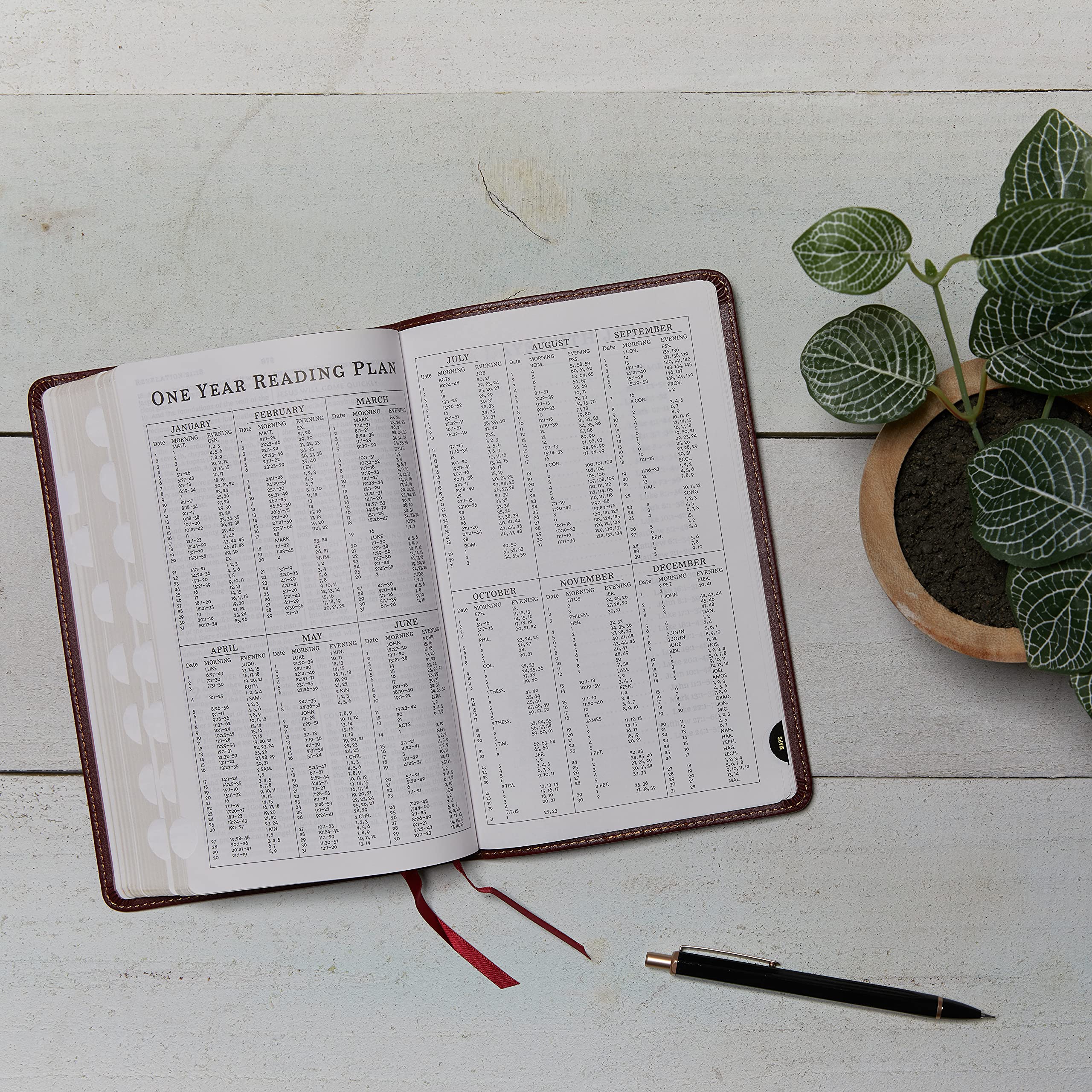 KJV Holy Bible Thinline Edition - Brown Leathersoft Cover, Red Letter Text, Comfort Print with Thumb Index - King James Version - Perfect for Church, Bible Study & Personal Devotion