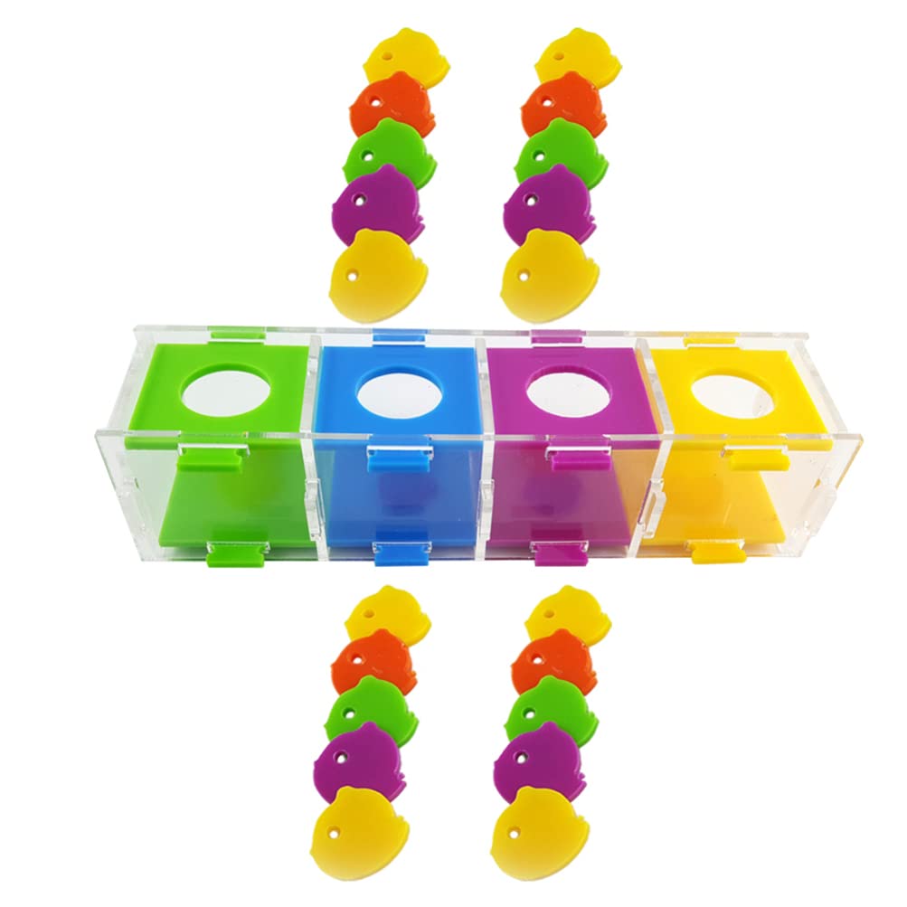 Mipcase Parrot Training Toys Set - Conure, Cockatiel & Sugar Bird Brain Toys - Interactive Chew & Puzzle Toys for Parakeets & Pet Birds - Perfect for Desktop Play & Mental Stimulation