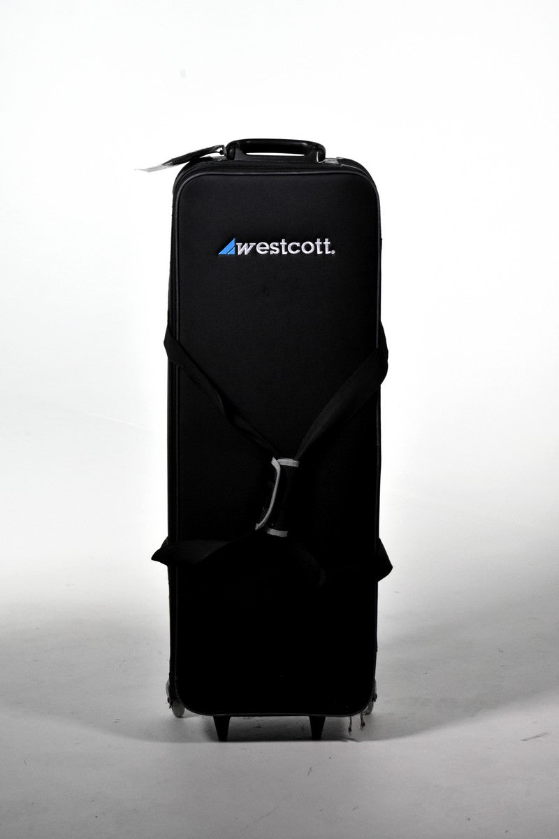 Used Westcott Peter Hurley Flex Cine Bi-Color 3 Light Kit (1x2') - Professional Photography & Video Lighting for Studios, Portraits, and YouTube Content Creation