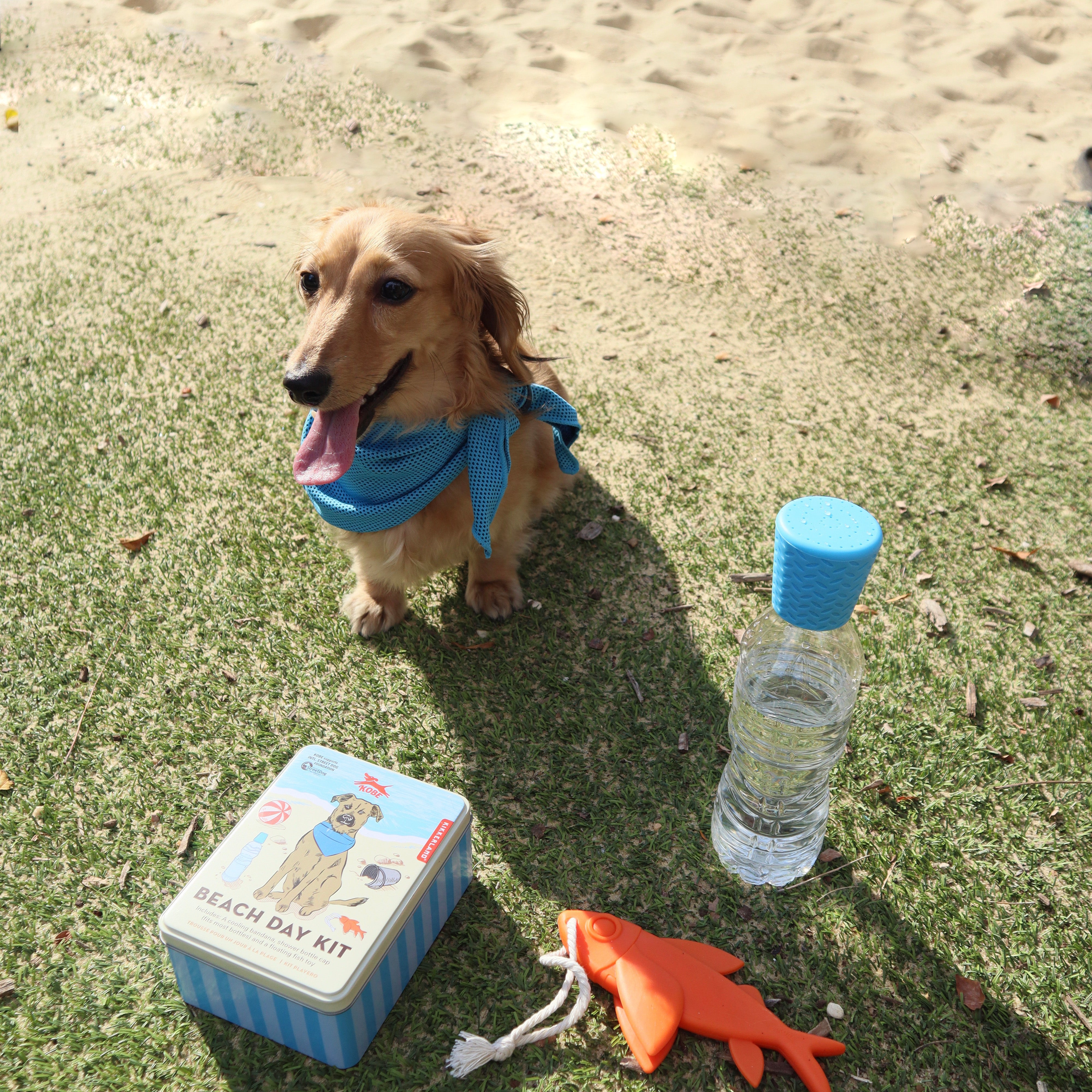 Kobe Beach Day Kit - Premium Sun Protection & Essentials for a Perfect Beach Day | Swimwear, Towel, Sunglasses & More | Ideal for Summer Vacations, Pool Parties & Water Sports