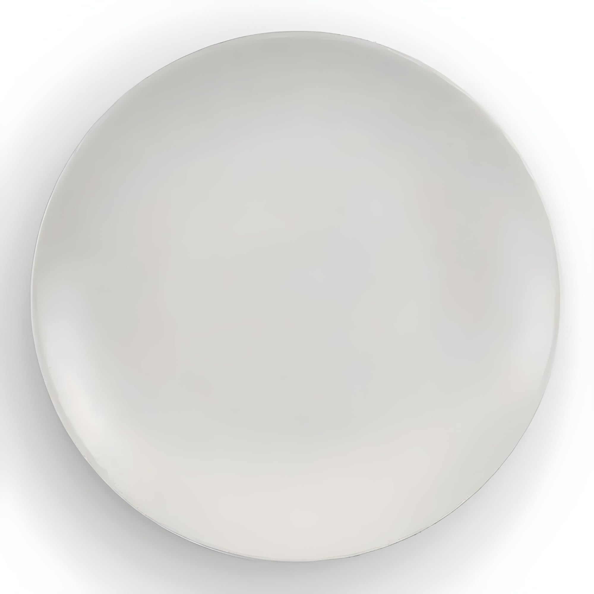 Tuxton Zion Matte White 10-1/4-Inch Dinner Plates - Set of 12 | Scratch & Chip Resistant | Lead & Cadmium Free | Dishwasher, Microwave & Oven Safe | Perfect for Restaurants, Catering & Home Dining