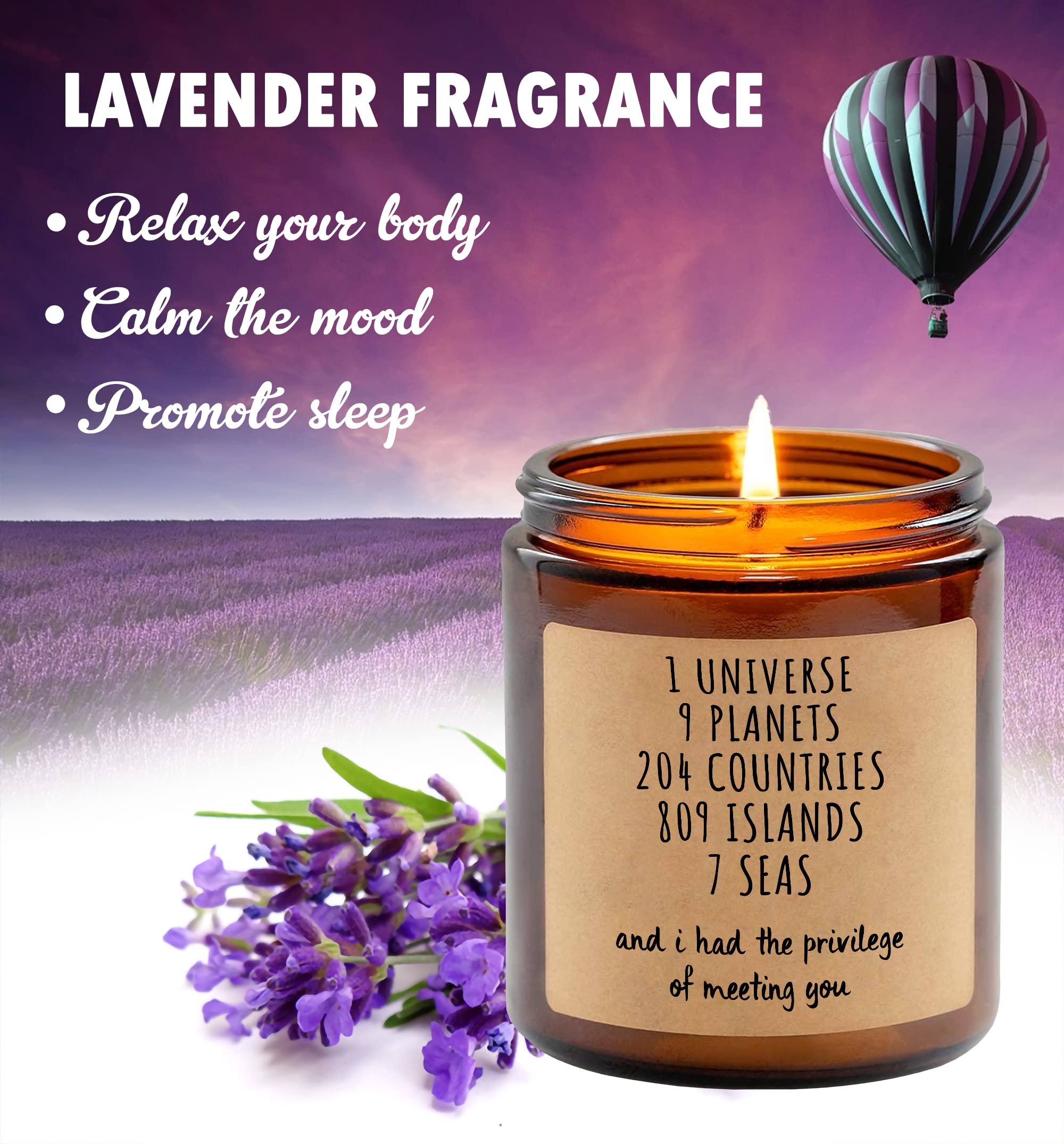 Best Friend Candle Gift Set - Lavender Scented Soy Candle with 'I Had The Privilege of Meeting You' Quote - Thoughtful Birthday Gift for Girlfriend, BFF & Friendship - Perfect for Relaxation, Spa Nights & Home Decor