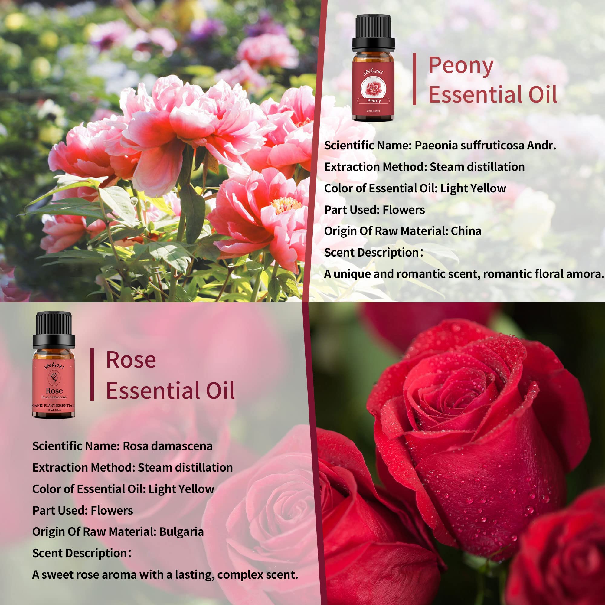 Organic Yethious Rose & Peony Essential Oil Set - 2 x 10ml Pure Flower Extracts for Aromatherapy Diffusers, Skincare, Soap & Candle Making - Perfect Gift for Relaxation & Home Spa