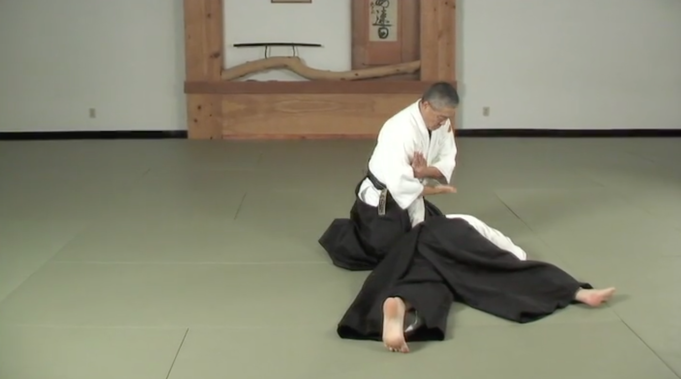 Aikido to BJJ Instructional DVD - Derek Nakagawa & Marcio Feitosa - Learn Martial Arts Techniques for Self-Defense & Competition Training