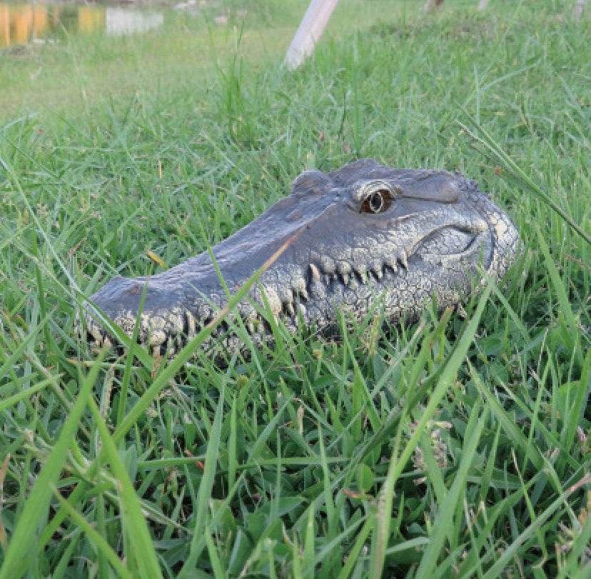 Crocadillo RC Crocodile Boat - Remote Control Swimming Toy for Kids & Adults, Pool & Lake Water Play, Fun Outdoor Gift