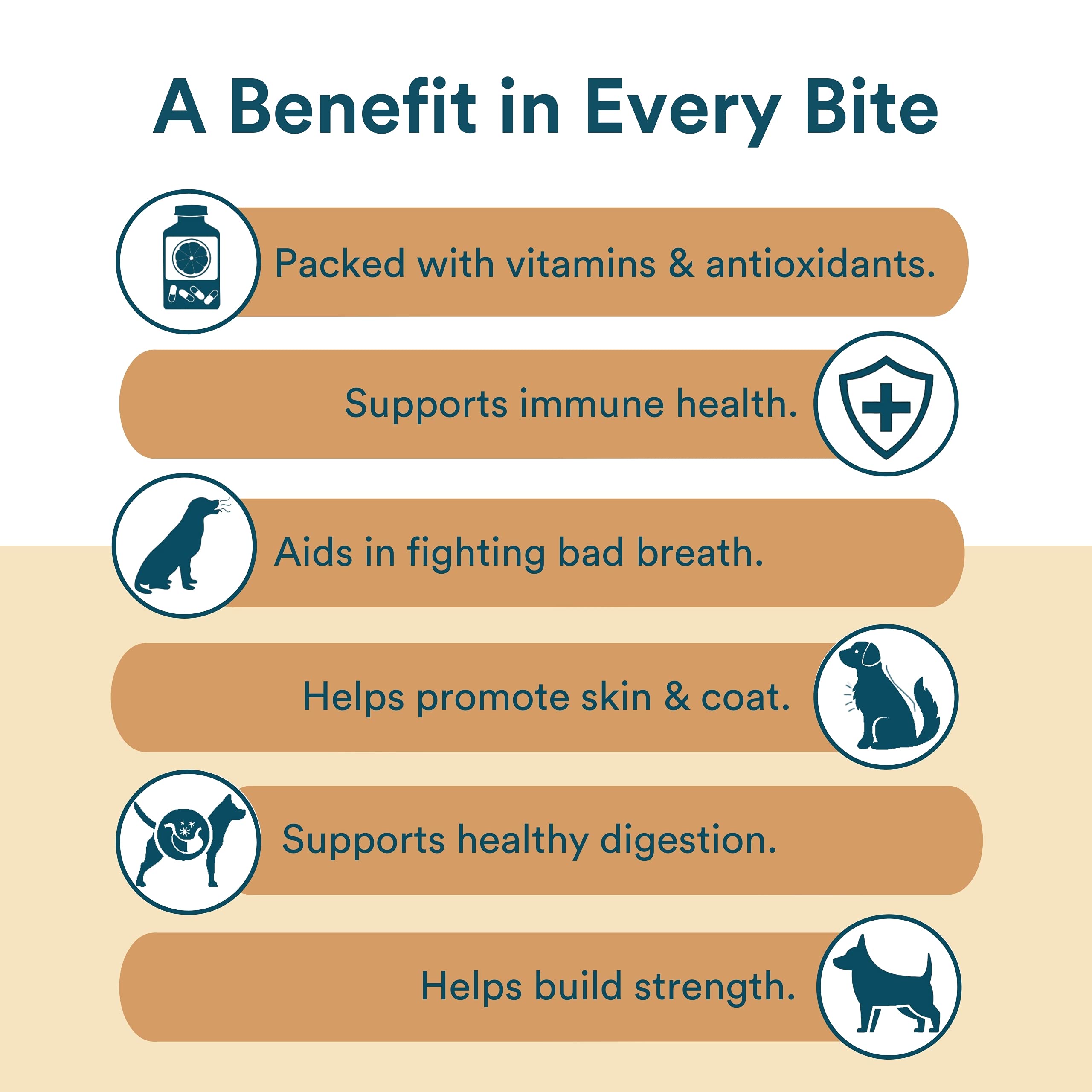 All Natural Vegan Dog Treats - Non-GMO, Wheat-Free Healthy Dog Biscuits Made in USA | Peanut Butter Flavor, Large 1lb Bag - Perfect for Training Rewards & Daily Snacks