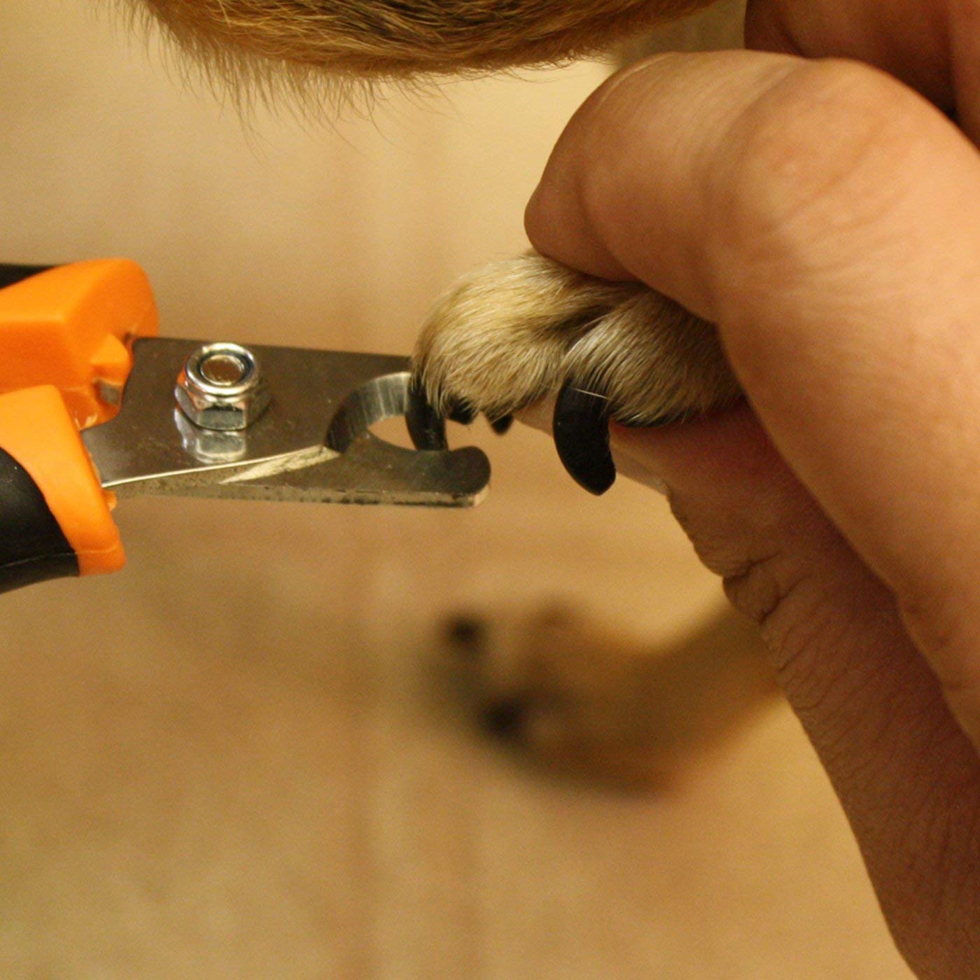 GoPets Professional Dog & Cat Nail Clippers Set - Large & Small Pet Nail Trimmers with Safety Guard, Angled Blades & Free Nail File Grinder - Perfect for Home Grooming & Pet Care Routine