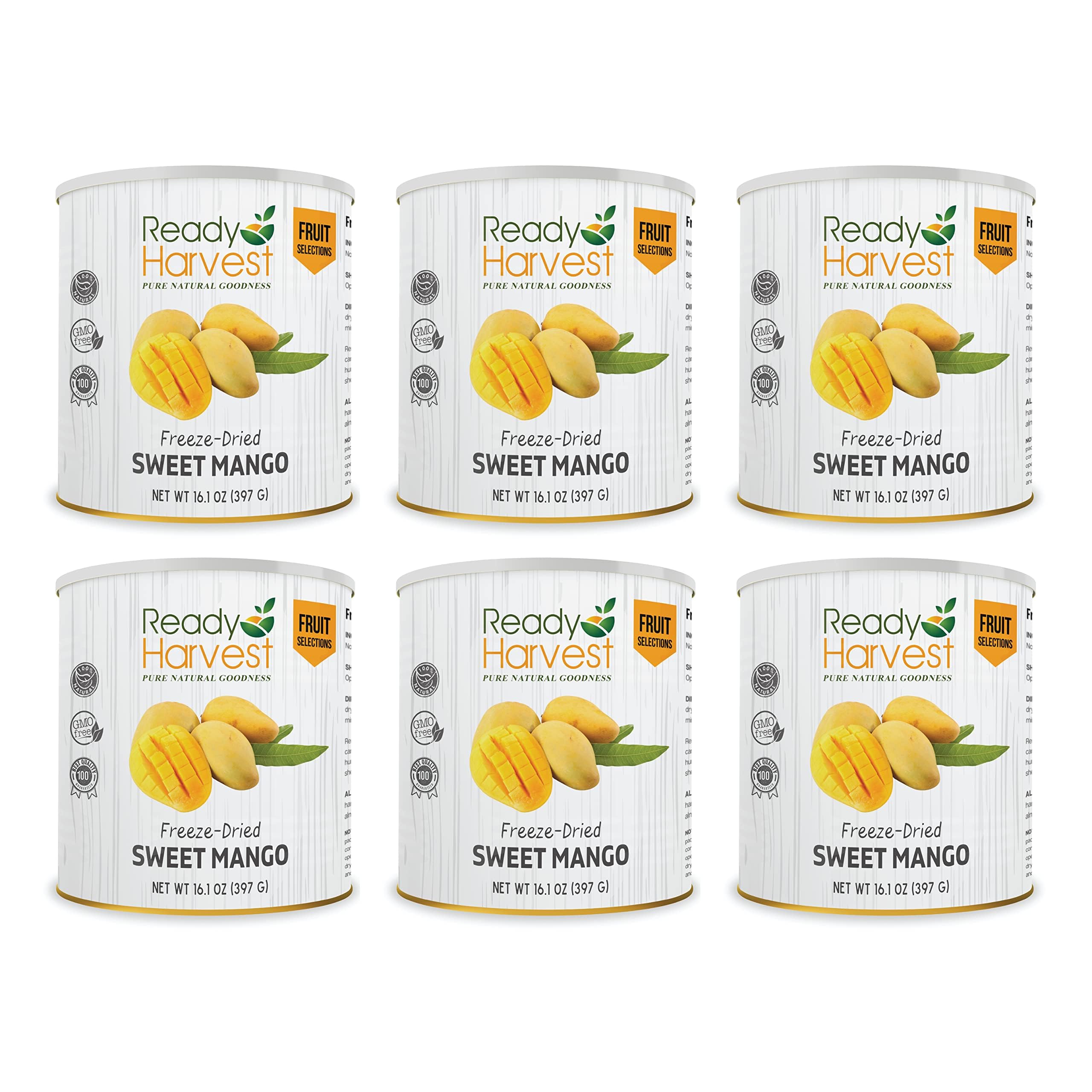Freeze Dried Mango Slices - Gluten Free, Non-GMO, 25 Year Shelf Life | Emergency Food Supply, Camping & Survival Snacks, Bug Out Bag Essentials | 6 Cans (397g Each) for Long Term Storage & Outdoor Adventures