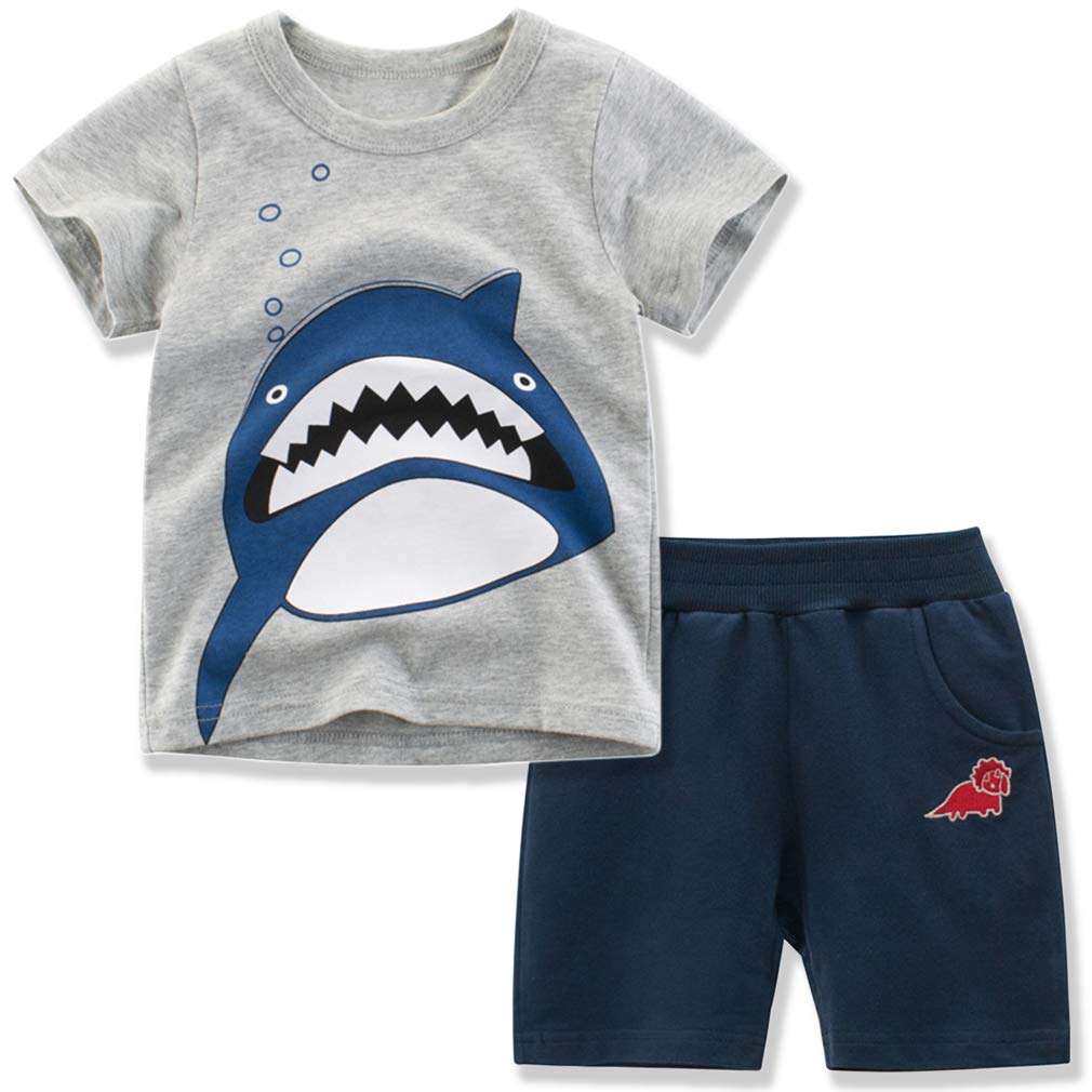 Boys Summer Outfits 2-7T - Cool Short Sleeve T-Shirt & Shorts Set for Playtime