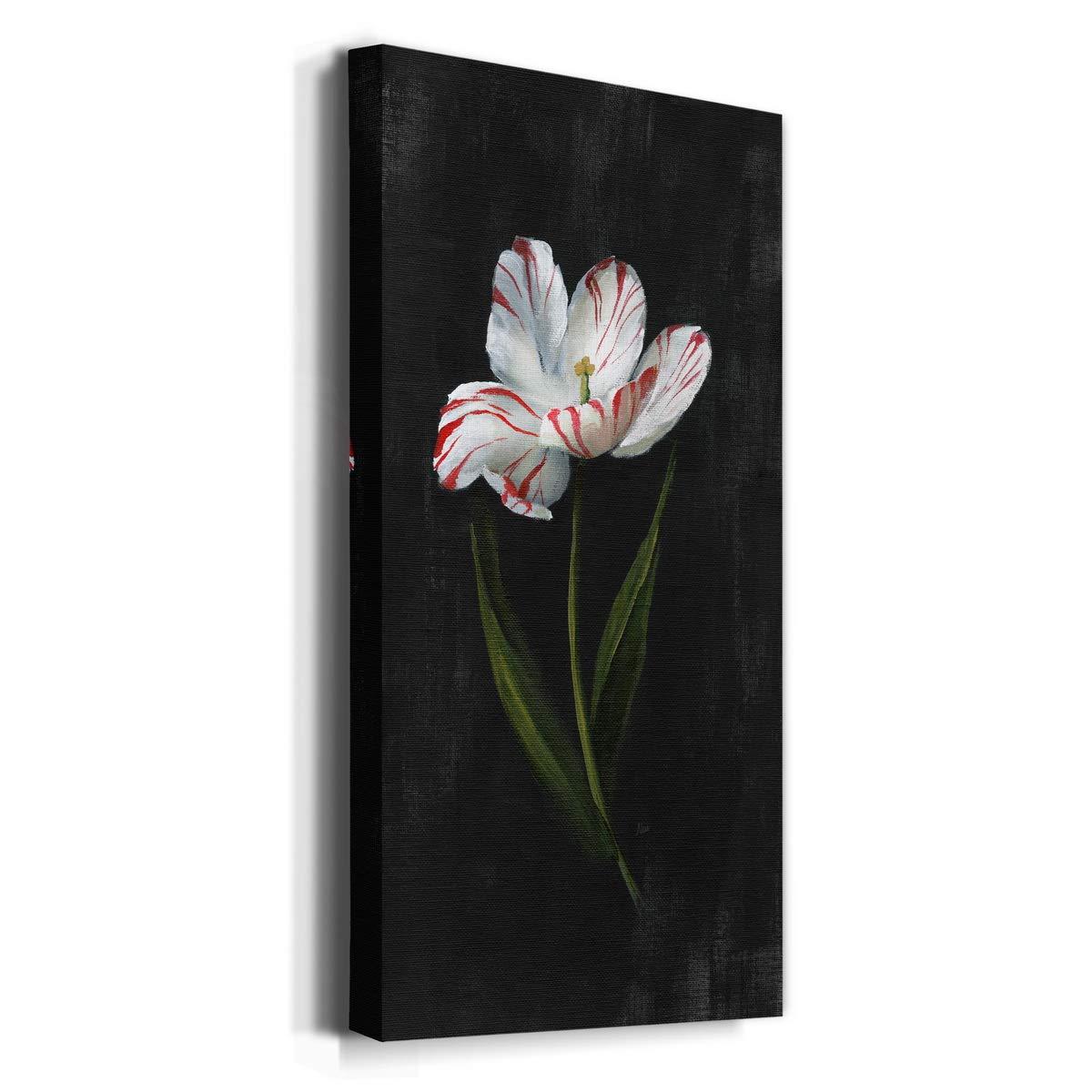 White Floral Canvas Wall Art - 8