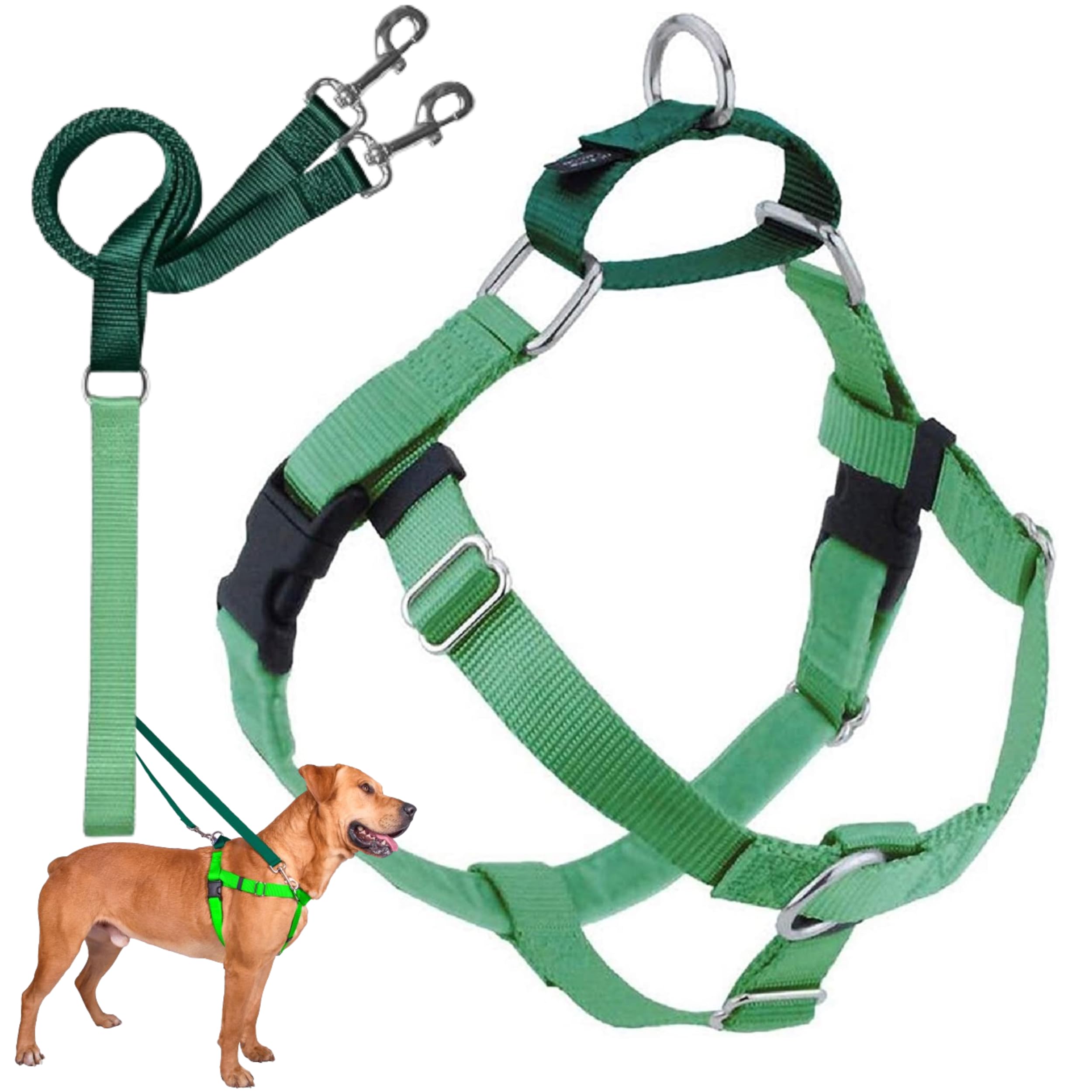 2 Hounds Design Freedom No Pull Dog Harness - Adjustable Pet Harness & Leash Set for Small, Medium & Large Dogs | Easy Walk & Comfortable Control | Made in USA | 1