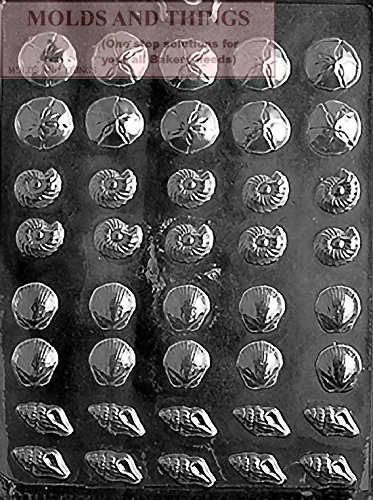 Large Chocolate Seashell Candy Mold - DIY Candy Making for Parties & Gifts