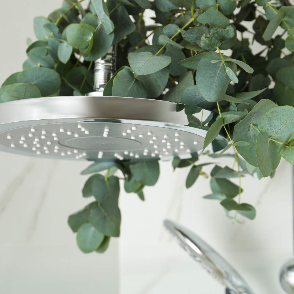 Fresh Eucalyptus Shower Bundle – 100% Natural & Freshly Cut Aromatic Shower Bunch | Spa-Like Relaxation with Beautiful Eucalyptus Scent | Perfect for Bathroom, Shower & Home Decor | Create a Luxury Spa Experience at Home