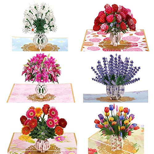 PACK OF 6