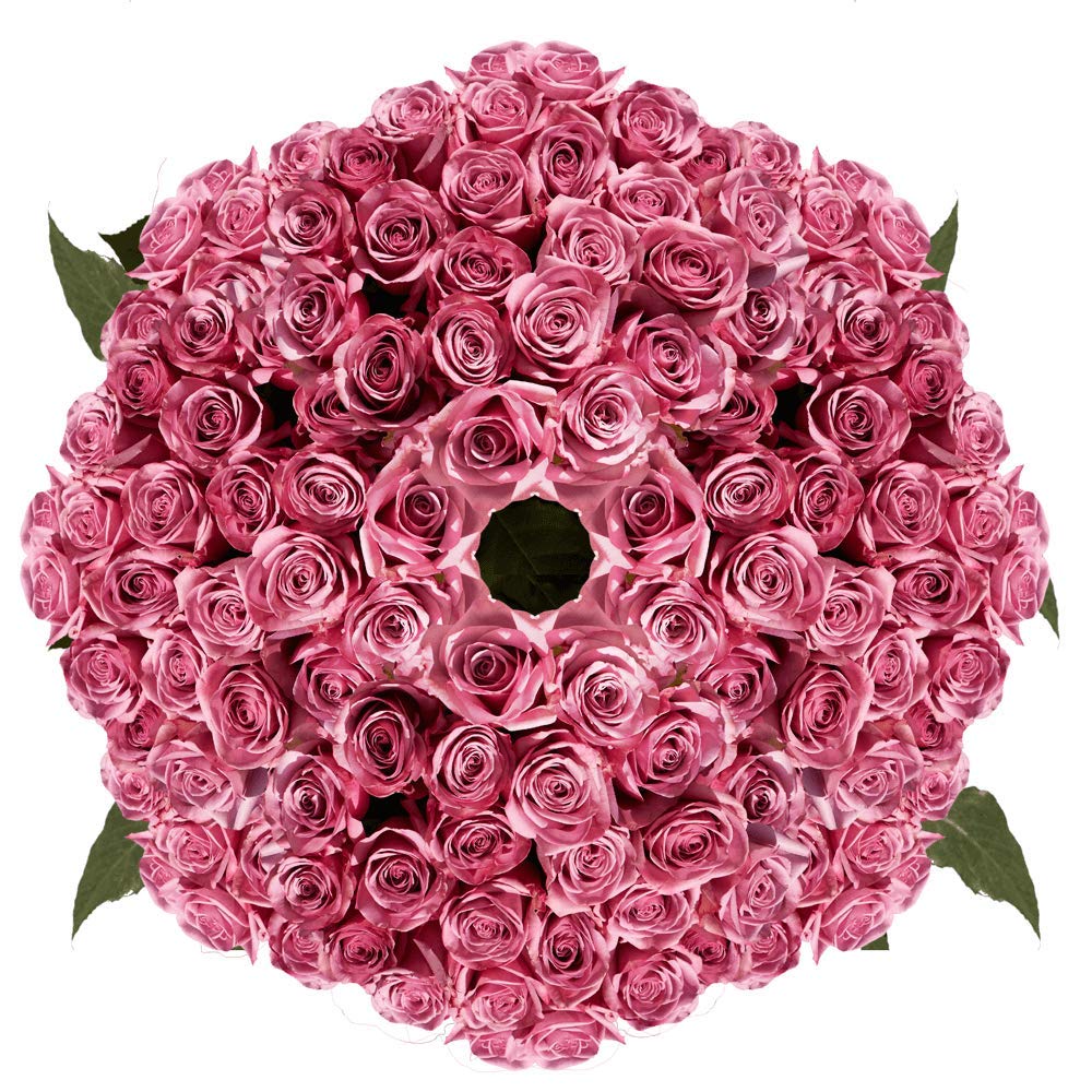 Fresh Cut Lavender Roses - 250 Stems (10 Bundles of 25) | Premium Long-Lasting Flowers for Weddings, Birthdays, Anniversaries & Home Decor | Perfect for Mother's Day Gifts, Bridal Showers & Romantic Centerpieces