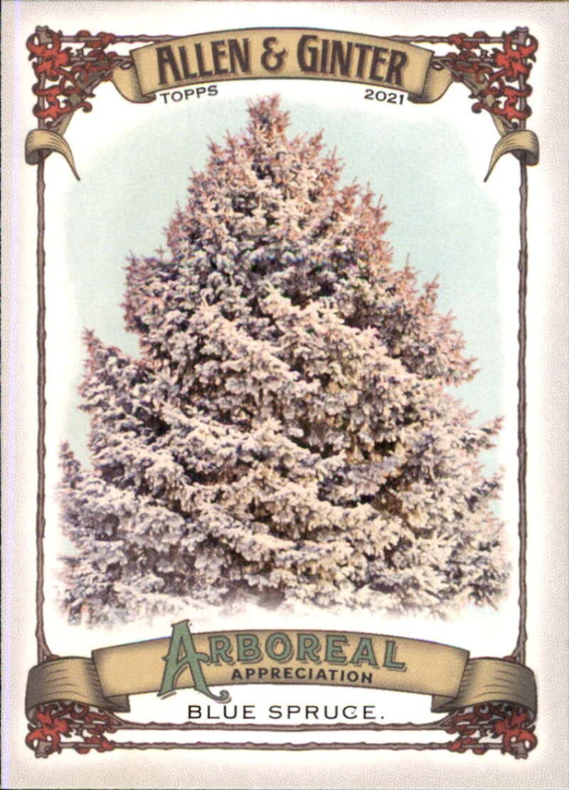 2021 Topps Allen & Ginter #AA-1 Blue Spruce Arboreal Appreciation Baseball Trading Card - Rare Collectible for Sports Memorabilia & Nature Lovers (Perfect for Display, Gifts, and Card Collections)