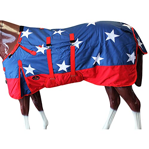 American Flag