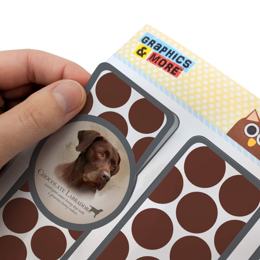 Premium Labrador Retriever Dog Breed Bookmarks - Set of 3 Glossy Laminated Book Accessories for Dog Lovers | Perfect for Reading, Gifts & Collectibles