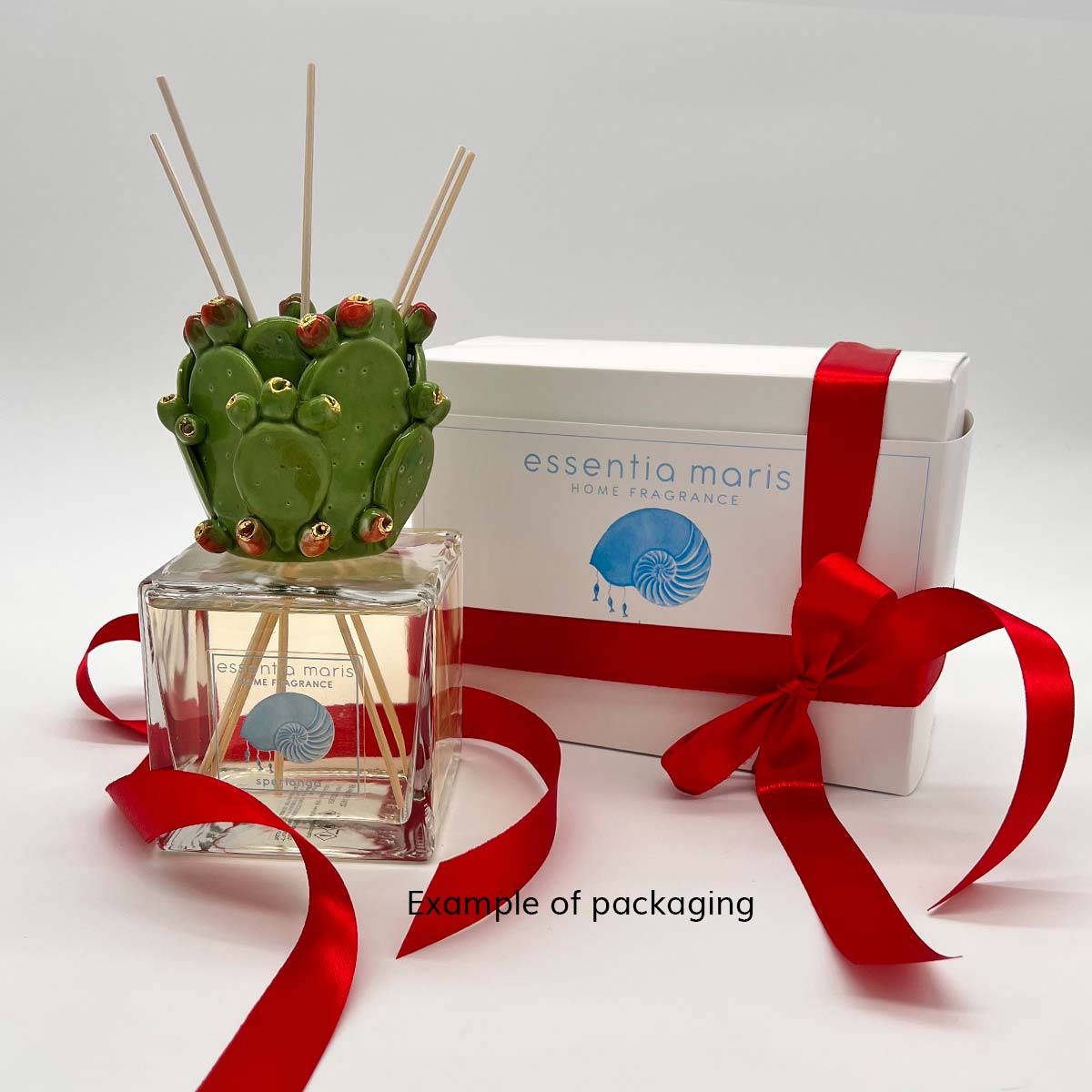 Natural Prickly Pear Scented Reed Diffuser for Home - Long-Lasting Aromatherapy for Living Room, Bedroom & Office