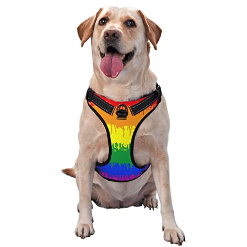 LGBT Gay Lesbian Flag